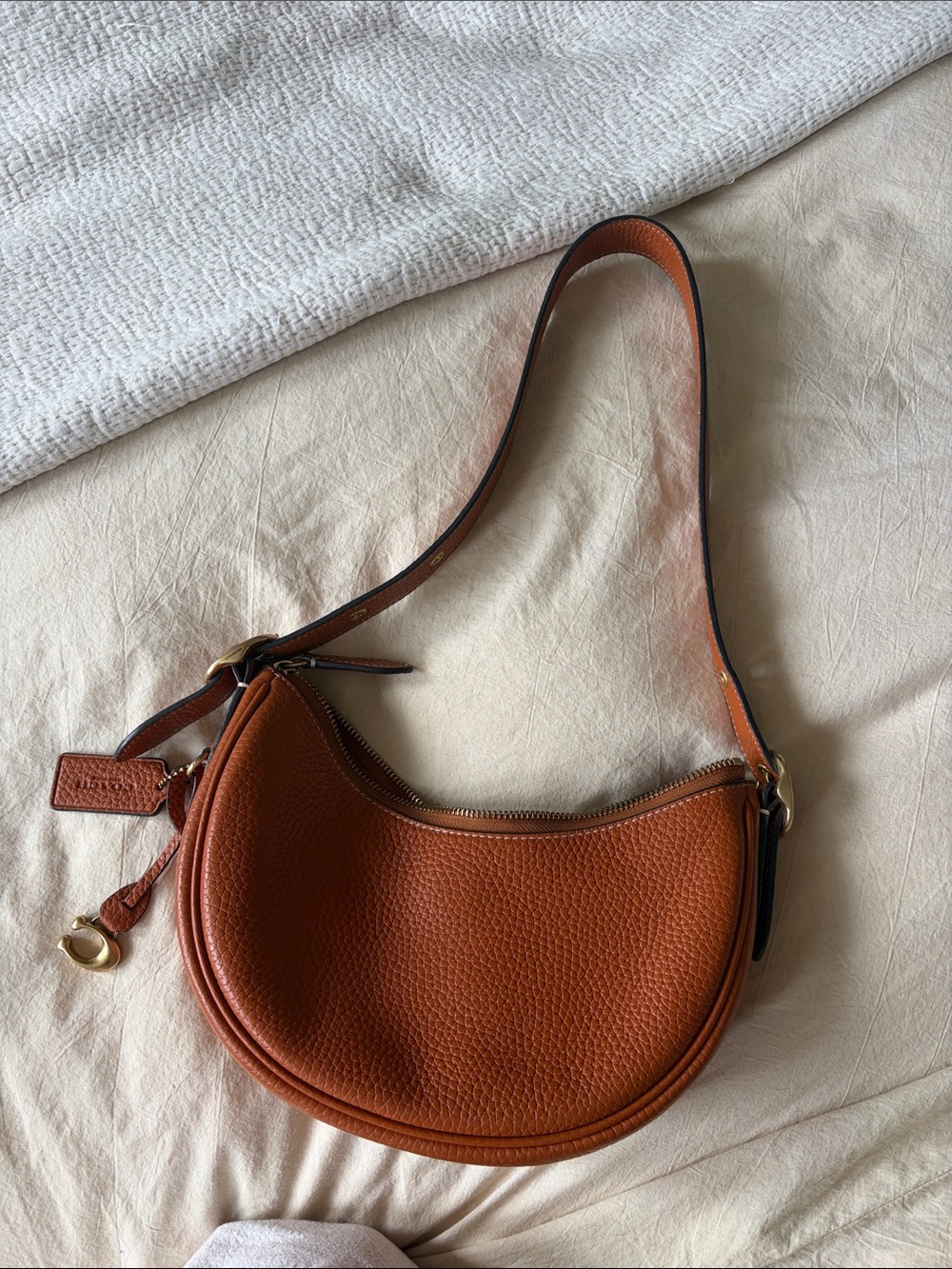 COACH Luna Small Hobo Bag in Brown